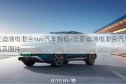 比亚迪油电混合suv汽车报价-比亚迪油电混合汽车价格及图片