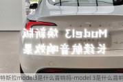 特斯拉model3是什么音响吗-model 3是什么音响