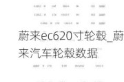 蔚来ec620寸轮毂_蔚来汽车轮毂数据