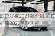 欧拉好猫2021款介绍,欧拉好猫2022新款功能