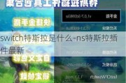 switch特斯拉是什么-ns特斯拉插件最新