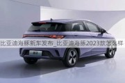 比亚迪海豚新车发布_比亚迪海豚2023款怎么样