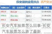 长安汽车股票怎么回事-长安汽车股票怎么跌了最新