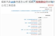 观致汽车上海待遇怎么样-观致汽车有限公司上海分公司工商信息