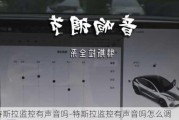 特斯拉监控有声音吗-特斯拉监控有声音吗怎么调