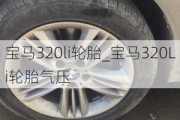 宝马320li轮胎_宝马320Li轮胎气压