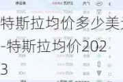 特斯拉均价多少美元-特斯拉均价2023