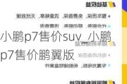 小鹏p7售价suv_小鹏p7售价鹏翼版