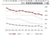 小米汽车销售-小米汽车销量下降原因是什么