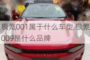 极氪001属于什么车型,极氪009是什么品牌