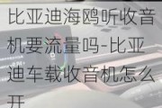 比亚迪海鸥听收音机要流量吗-比亚迪车载收音机怎么开