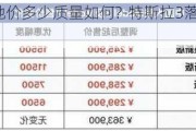 特斯拉3落地价多少质量如何?-特斯拉3落地大概多少钱