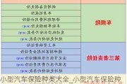 小型汽车保险种类大全_小型汽车保险种类