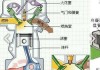 汽车原理教程_汽车原理学习