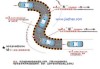 弯道驾驶技巧视频教程_弯道汽车驾驶技巧