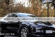 特斯拉model y降价空间,特斯拉model y 降价