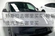 特斯拉去哪里买车-特斯拉汽车去哪里买