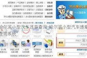 哈尔滨小型汽车违章查询-哈尔滨小型汽车违章查询系统