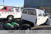 双燃料汽车有哪些车,双燃料汽车有哪些车