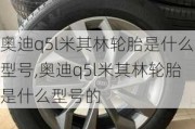 奥迪q5l米其林轮胎是什么型号,奥迪q5l米其林轮胎是什么型号的