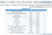 蔚来汽车公司简介怎么写比较好-蔚来公司的简介