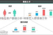 特斯拉客户群体分析-特斯拉人群画像分析