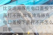 比亚迪海豚充电口盖按下盖打不开,比亚迪海豚充电口盖按下盖打不开怎么回事