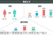 特斯拉客户画像数据分析,特斯拉客户细分