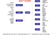 特斯拉的产业布局是什么-特斯拉产业结构