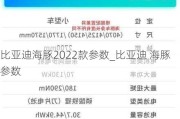 比亚迪海豚2022款参数_比亚迪 海豚参数