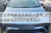 比亚迪海豚电车报价一览表_比亚迪海豚电动2021款落地价