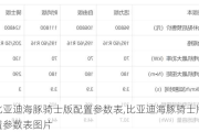 比亚迪海豚骑士版配置参数表,比亚迪海豚骑士版配置参数表图片