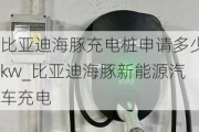 比亚迪海豚充电桩申请多少kw_比亚迪海豚新能源汽车充电