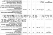 上海汽车集团招聘岗位及待遇-上海汽车集团股份有限公司待遇