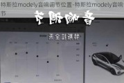 特斯拉modely音响调节位置-特斯拉modely音响调节