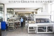 哈尔滨汽车电器批发市场-哈尔滨汽车电器厂