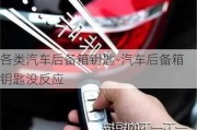 各类汽车后备箱钥匙-汽车后备箱钥匙没反应