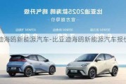 比亚迪海鸥新能源汽车-比亚迪海鸥新能源汽车报价图片2022