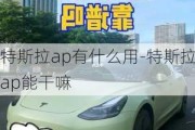 特斯拉ap有什么用-特斯拉ap能干嘛