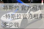 特斯拉 官方租车-特斯拉官方租车多少钱