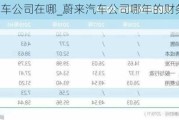 蔚来汽车公司在哪_蔚来汽车公司哪年的财务状况最好