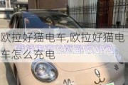 欧拉好猫电车,欧拉好猫电车怎么充电