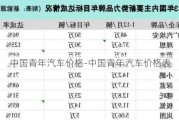 中国青年汽车价格-中国青年汽车价格表