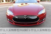 什么人买特斯拉model s-什么人买特斯拉model