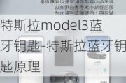 特斯拉model3蓝牙钥匙-特斯拉蓝牙钥匙原理