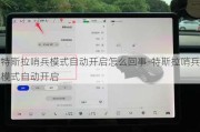 特斯拉哨兵模式自动开启怎么回事-特斯拉哨兵模式自动开启