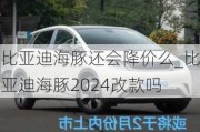 比亚迪海豚还会降价么_比亚迪海豚2024改款吗