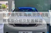 比亚迪汽车 海豚,比亚迪海豚车型介绍及配置解说