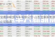 山东宝雅新能源汽车有限公司-山东宝雅新能源汽车有限公司股票