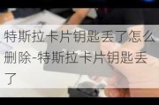 特斯拉卡片钥匙丢了怎么删除-特斯拉卡片钥匙丢了